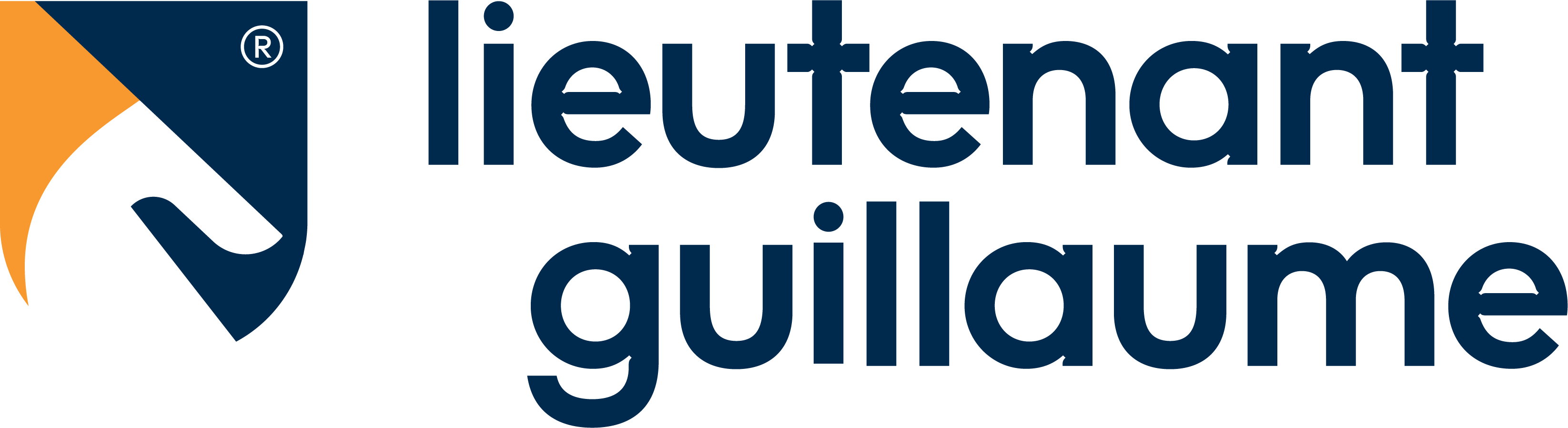 LOGO LG_RVB